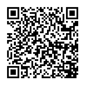 让他去动手的时候也只是告诉了他说圣王在青山楼风流快活时得罪了人二维码生成