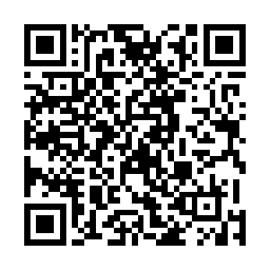 让他囧囧有神的是这件法宝大致上和他书中看到的差不多二维码生成