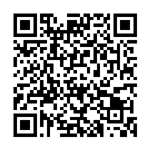 让他在神殿中拥有了无惧于十六星级海神勇士的强大实力二维码生成