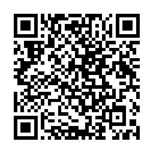 让他如此激动的并不是因为一小块固化的灵气而激动二维码生成