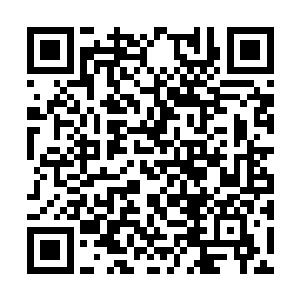 让他对一直以来飘渺难解的掌道终于有了一丝概念二维码生成