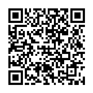 让他忍不住想到了当年试炼战场最下方的那只怪物二维码生成
