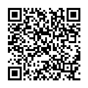让他想要动手令这个男人永远地消失在自己的眼前二维码生成