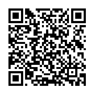 让他感觉自己在此子眼中和一朵漂亮的花没什么区别二维码生成