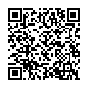 让他早已准备好的计划没办法再继续实施下去了二维码生成