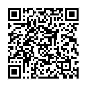 让他留在我体内的力量和他之间产生了什么共鸣吧二维码生成