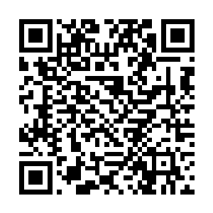 让他知道不要以为自己修为最高就可以行驶毫无顾忌二维码生成