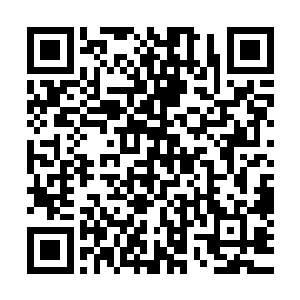让他震惊的是这下方的石柱竟然如同树根一样横着延伸了出去二维码生成