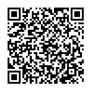 让伤愈的杨浦城跟着维杰回到了婆罗洲东北部的这片原始丛林地区里二维码生成