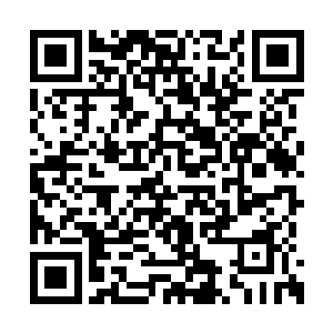 让余城主那些夫人发动那些达官贵人的太太小姐二维码生成