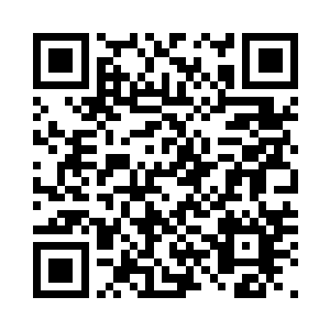 让你争取能回到念念不忘的队伍中去二维码生成