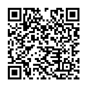 让你们一个人划一万米对你们来说岂不是太简单了二维码生成