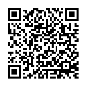 让你们从一开始就走上了岔路……怪不得……怪不得……是了二维码生成