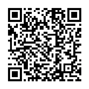 让你们光明圣殿无法加害我们武魂一脉的第八位兄弟二维码生成