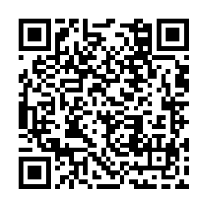 让你们双方完成任务交易……我这人还算讲道理吧二维码生成