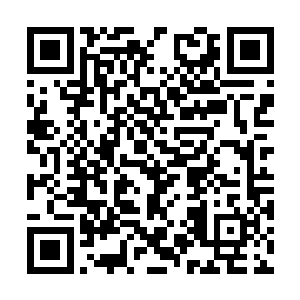 让你们学会怎利用一切有利的地形条件和有利时机二维码生成