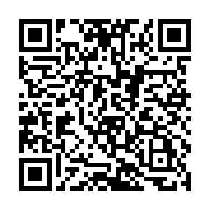 让你们把事情看的清清楚楚也是想证明我自己的清白二维码生成