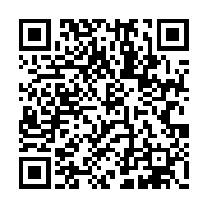 让你们这些蝼蚁知道我血骨之海的威严不容侵犯二维码生成