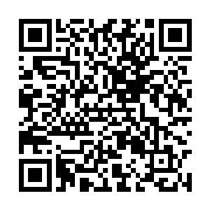 让你们这群把世人辛辛苦苦的人生当做娱乐的混蛋二维码生成