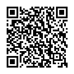让你根本意识不到眼前的世界是一场虚拟的实验二维码生成