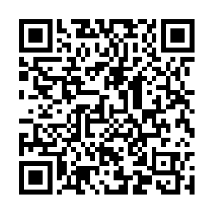 让你用那可怜的两千美元来支付你的鼻梁重塑手术二维码生成