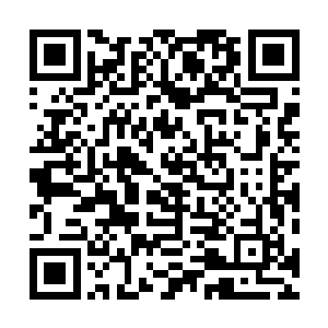 让你这么多年来跟着我吃苦了……你大哥当初他们说得对二维码生成