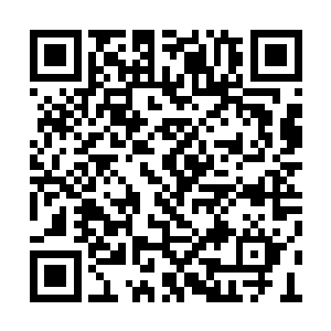 让侍立在一边的丞相与大将军看得心中直冒凉气二维码生成