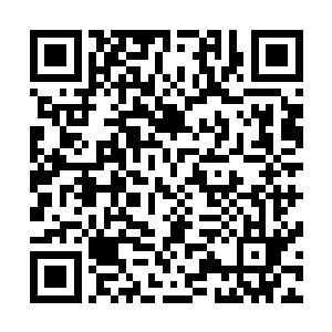 让侧柏分了一丝精魂在上面――这其实相当于一个君子约定二维码生成