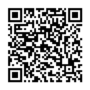 让修仙者分不清楚究竟哪一个才是真正的地行神龙二维码生成