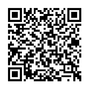 让公堂上的河南诸官心里都意识到了一丝的不妙二维码生成