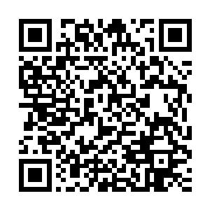 让六臂魔皇一番辛苦瞬间落空――这是六臂魔皇要杀张铁的私心二维码生成