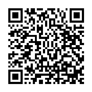 让其一点一点的通过小拇指上的缺口源源不断的进入骨髓之中二维码生成