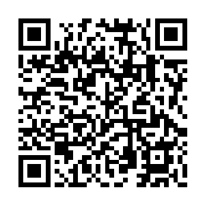 让几名误以为他是账房老先生的丫鬟都觉得有趣二维码生成