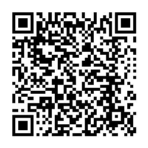 让刚刚踏入能量漩涡边沿地带的剑尘和铁塔两人险些控制不住身躯二维码生成