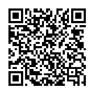 让别墅里面熟悉何非凡的那些佣人们都是微微一愣的二维码生成