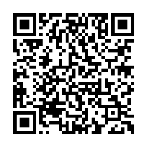 让到东新区去担任主管农业和教育工作的副区长二维码生成