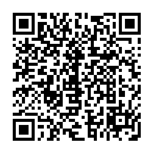 让剑尘又回忆起多年前自己和烈焰佣兵团的几名成员去魔兽山脉闯荡的那些日子二维码生成