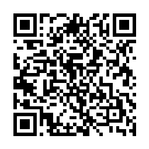 让原本以为神猿皇赢定的血光和玄剑有些不敢确定了二维码生成