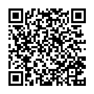 让原本低眉顺眼的奔水也不由瞪大了眼睛扭头看过来二维码生成