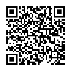 让原本列队整齐等待叶秋下达今天训练任务的所有人皆是一惊二维码生成