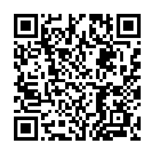 让原本因为忌惮法律和伦理道德控诉的人变得疯狂起来二维码生成
