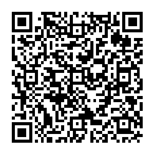 让原本在接引大殿中经历一番恶劣的人性后的流墨墨只突然心血来潮的就说了一句二维码生成