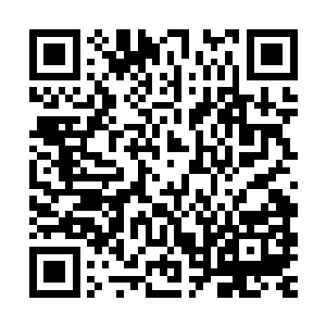 让原本已经心神平静下来的圣城众人再次变得恐慌和惊惧了起来二维码生成