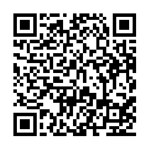 让原本愤怒的墨色巨神灵的情绪陡然平静了下来二维码生成