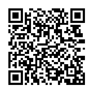 让原本根本没把楚旬放在眼里的女娲也忍不住发出一声惊呼二维码生成