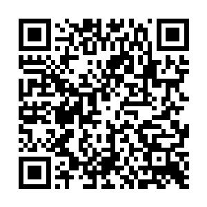 让原本许久未见妹妹而心里怀揣着点激动和期待的叶妩二维码生成