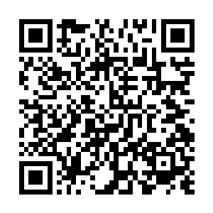 让原本还准备给那石头佛像来几下的其他人都有些傻眼了二维码生成