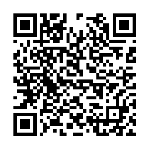 让参谋长洛夫蒙维奇率领两万五千人北上支援北京二维码生成