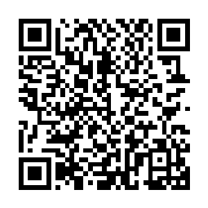让叶尊意外的是他手臂上的伤口竟然在以肉眼可见的速度愈合着二维码生成