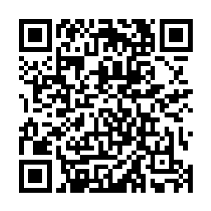 让同为修士的杨晨不免有了种兔死狐悲的感觉在心头萦绕二维码生成